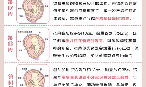 【怀孕期间一直抽烟会影响宝宝吗】孕期经常抽烟对对宝宝有什么影响 - 怀孕期间一直偷偷抽烟网