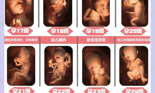 【怀孕期间一直抽烟会影响宝宝吗】孕期经常抽烟对对宝宝有什么影响 - 怀孕期间一直偷偷抽烟网