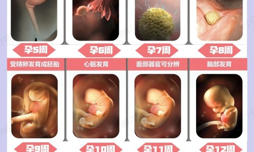 【怀孕期间一直抽烟会影响宝宝吗】孕期经常抽烟对对宝宝有什么影响 - 怀孕期间一直偷偷抽烟网